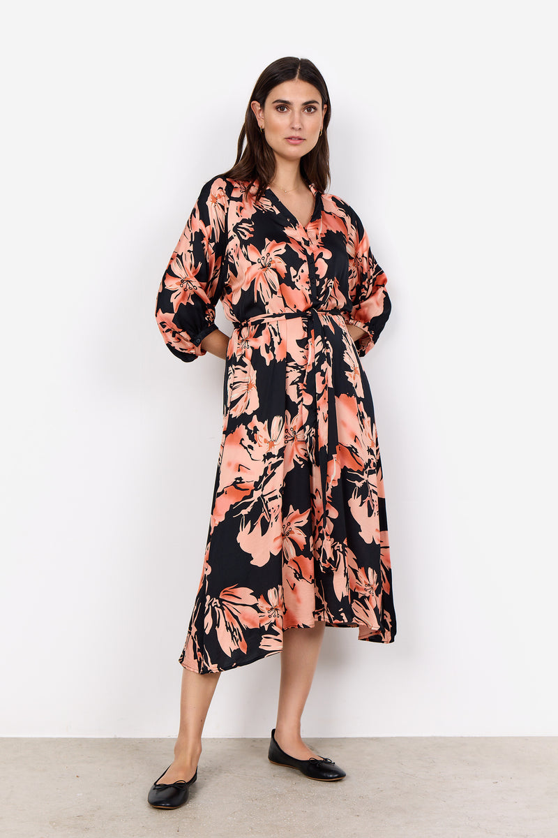 Dion Printed Dress